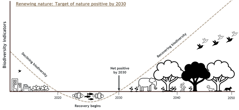 Valuing nature: recognising the risks and reaping the rewards